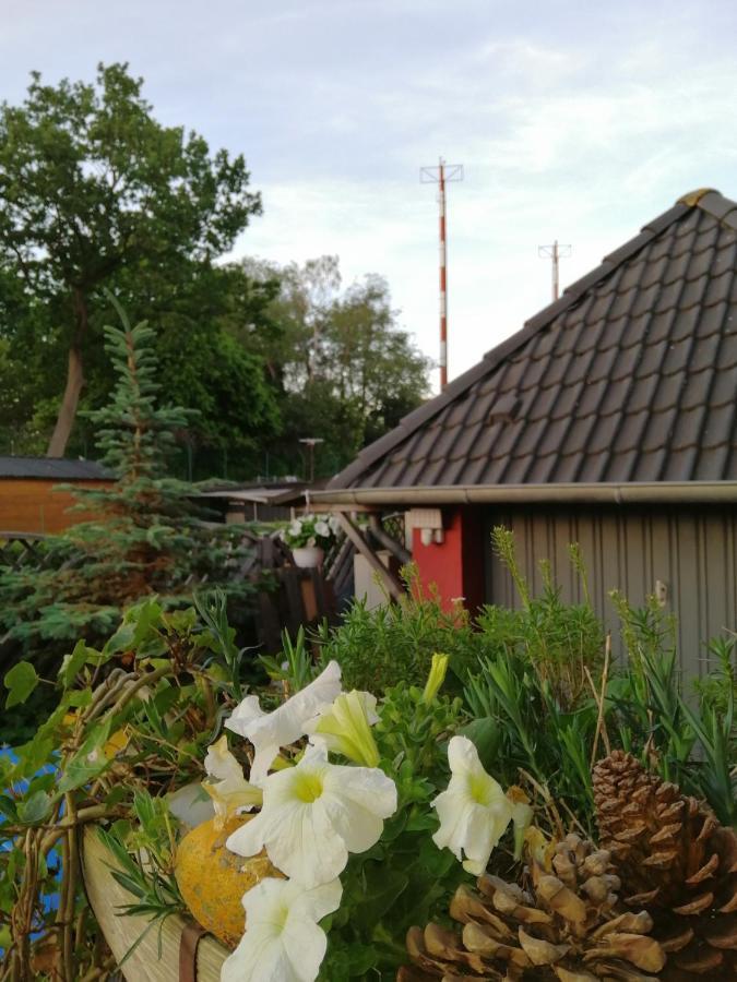 Backstage Apartment Kiel-Holtenau المظهر الخارجي الصورة